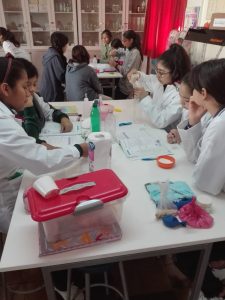 Nuevo equipamiento en laboratorio de Ciencias