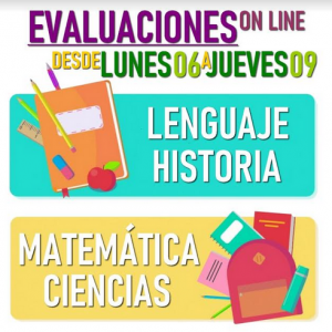 Información Evaluaciones Formativas