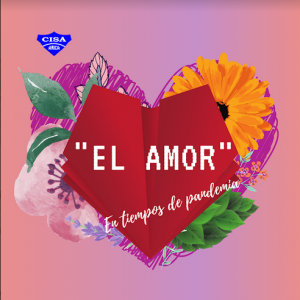 Boletín N°7 "El amor en tiempos de Pandemia"