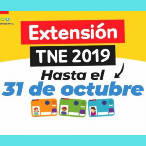 ¿Sabes cuándo se puede revalidar la TNE?