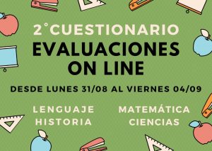 2º cuestionario evaluaciones online