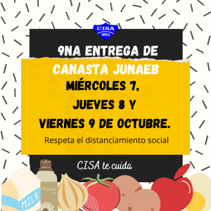9na Entrega de Canasta JUNAEB
