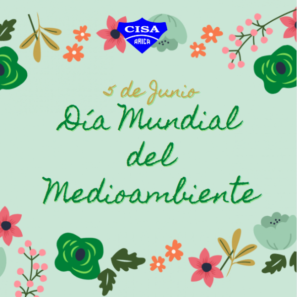 🌎 Día Mundial del Medioambiente 🌱