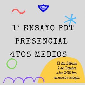 Ensayo PDT Presencial