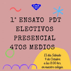 Ensayo PDT de Electivos Presencial