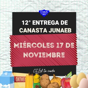 12a Entrega Canasta JUNAEB