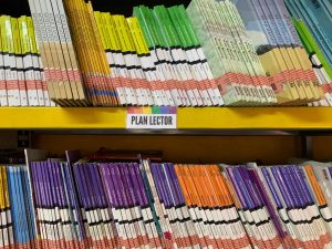 Calendario Plan Lector desde 5tos básicos a 4tos medios