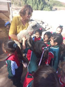 Salida Educ. Parvularia Granja Educativa